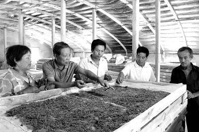 ��a����������������h�G���P(gu��n)�(zh��n)�B(y��ng)�Q����ָ��(d��o)�Q�r(n��ng)�B(y��ng)�Q���r���h