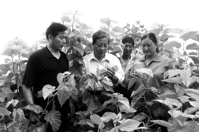 ��a������������ڞ�ɣ�r(n��ng)�v�ں�ɣ�Nֲ���g(sh��)���߷�